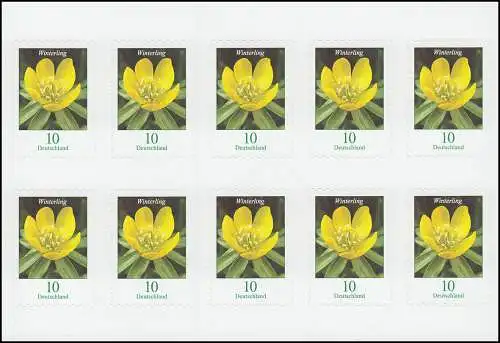 FB 81I Blume Winterling 10 Cent, Folienblatt mit 10x 3430I, postfrisch **