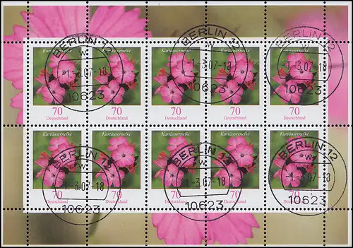2529 Blume Kartäusernelke 70 Cent - Kleinbogen Tagesstempel BERLIN 1.3.07