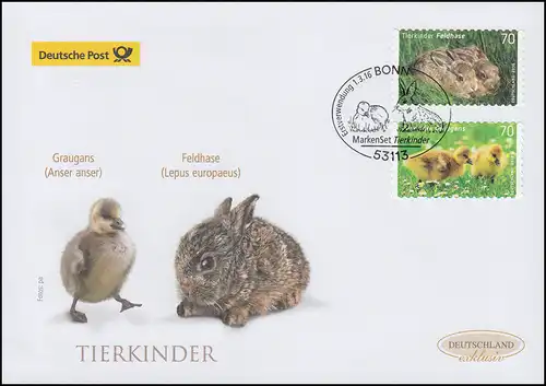 3222-323 Lapin gris et de champ, autocollant, FDC de bijoux Allemagne exclusivement