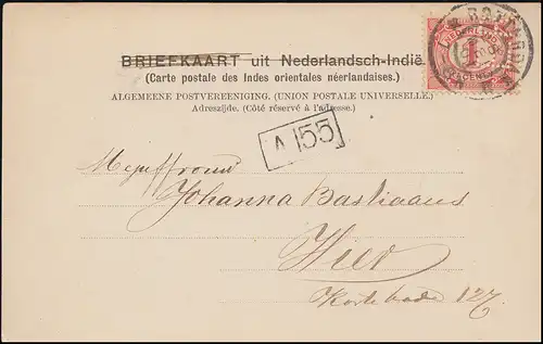 Firmenlochung/Perfin E.R. auf 50 Ziffer auf AK Tangerang ROTTERDAM 28.5.1901