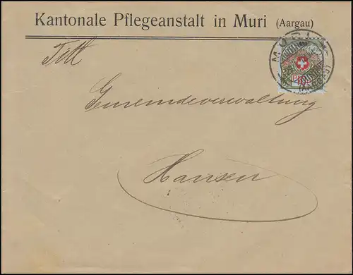 Portofreiheitsmarke 5I Alpenrose EF Brief Kantonale Pflegeanstalt MURI 29.1.1918