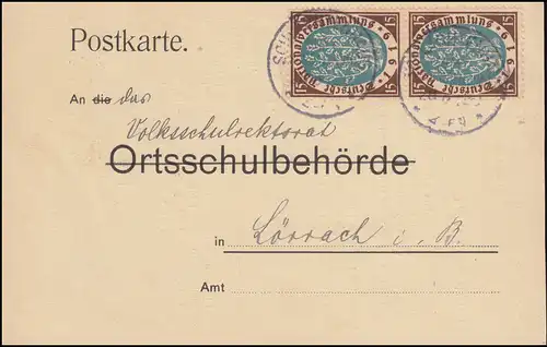 108 Nationalversammlung MeF Postkarte SCHLÄCHTENHAUS (AMT SCHOPFHEIM) 28.6.1920