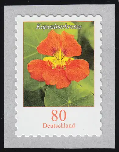 3482 Kapucine 80 centimètre carré de 100 avec numéro UNGERADER **