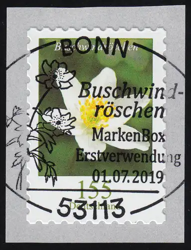 3484 Buschwindröschen 155 Cent sk aus 100er, senkr. ung. Nummer, EV-O Bonn