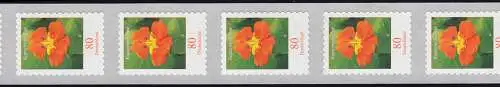 3482 Kapuzinerkresse 80 Cent sk 11er Rollenanfang 100-95-90, **