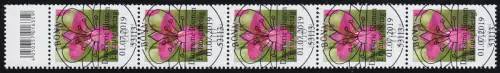 3471 Wild-Gladiole 110 Cent, 5er-Streifen mit Codierfeld, ESSt Bonn 1.7.2019