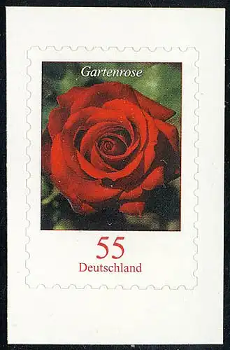 2675 Gartenrose mit Duft SELBSTKLEBEND aus Folienblatt 7, ** postfrisch