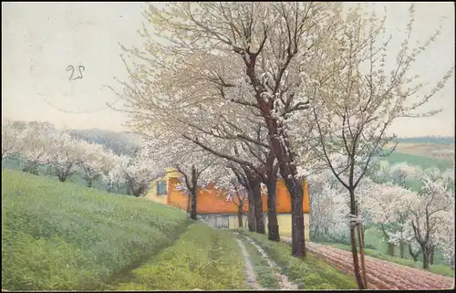 Bahnpost WERTHEIM-MERGENTHEIM ZUG 528 - 4.6.1907 auf AK Frühling auf dem Lande