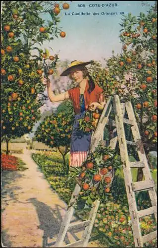 AK France Cote d'Azur récolte d 'oranges, exposition de publicité-O timbres 18.1.28