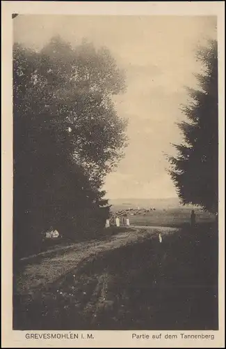 Bahnpost HAMBURG-CUXHAVEN 5.8.1924 auf AK Grevesmühlen Partie auf dem Tannenberg