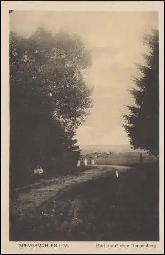 Post de train HAMBURG-CUXHAVEN 5.8.1924 sur AK Grevesmühlen Partie sur le Tannenberg