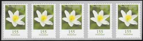 3484 Buschwindröschen 155 Cent sk aus 500er 5er-Streifen, waager. ung. Nr. **