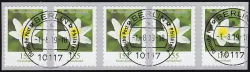 3484 Bouche à vent 155 centimètre sk de 500 bandes de 5 mètres, waager. n° ET-O