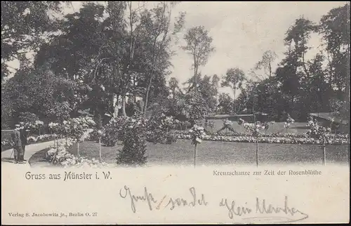 Ansichtskarte Gruss aus MÜNSTER Kreuzschanze zur Zeit der Rosenblüte, 4.5.1905