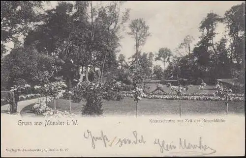 Ansichtskarte Gruss aus MÜNSTER Kreuzschanze zur Zeit der Rosenblüte, 4.5.1905