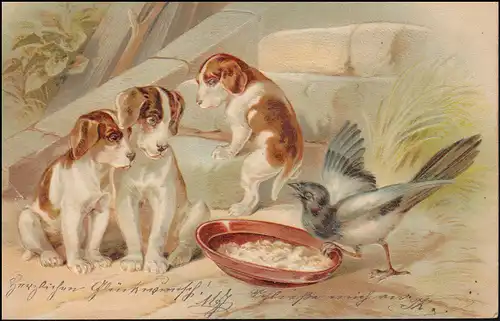 Präge-Ansichtskarte Elster stiehlt Essen von Hundewelpen, BREYELL 4.7.1903