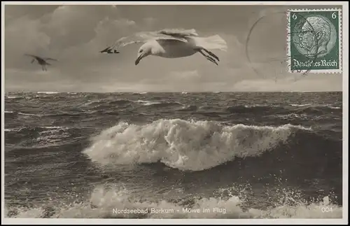 Carte de la mer du Nord Bad Borkum - Mouette en vol, couru vers Dülmen