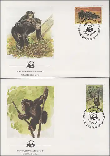 Sierra Leone WWF: Affen - Schimpansen 1983, 4 Werte auf 4 FDC FREETOWN 19.5.1983