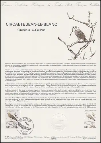 Collection Historique: Aigle serpent / Circaetus gallicus 22.9.1984