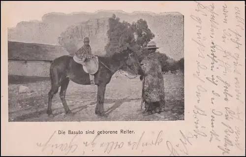 Poste de champ 16. VISION DE RÉSERVE 19.11.1914 sur AK Les Basuto sont des cavaliers nés