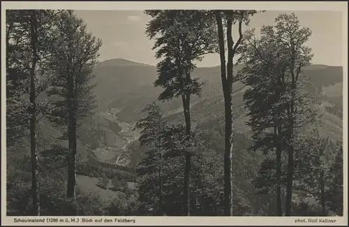 Ansichtskarte Schauinsland Feldberg/Schwarzwald, Freiburg 17.8.1935