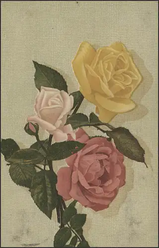Ansichtskarte Rosen-Grüße, Freiberg/Sachsen 13.9.1908