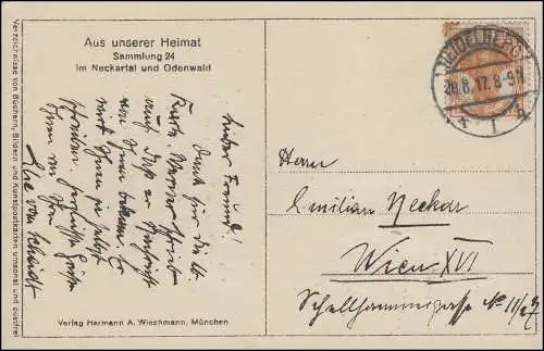 99 Germania sur AK Send am Hirschhorn am Neckar, HEIDELBERG 28.8.1917 n. Wien