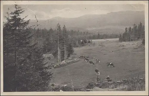 AK Heimatschutz-PK Schlesischer Bund: Die Dovewiese SCHREIBERHAU 28.7.19