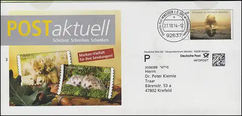 Plus lettre de rivière dans la vallée inférieure de l'Oder: POSTaktuell Fuchs & hérisson, WEIDEN 27.10.14