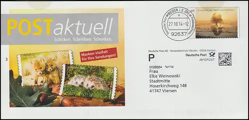 Plusbrief Flussaue im Unteren Odertal POSTaktuell Fuchs und Igel WEIDEN 27.10.14