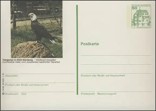 P134-i2/026 8500 Nürnberg, Tiergarten: Seeadler **