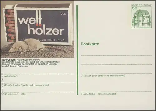 P134-i5/078 8630 Coburg, Etruskerspitzmaus **