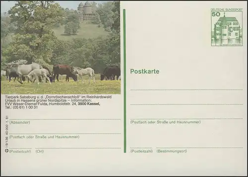 P134-i9/136 3500 Kassel, Tierpark Sababurg **
