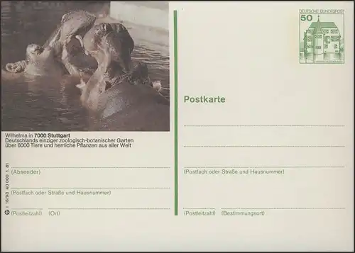 P134-i16/093 - 7000 Stuttgart, Wilhelma Hippopotames **