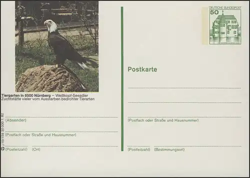 P134-j10/159 8500 Nürnberg - Tiergarten: Weißkopf-Seeadler **