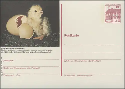 P138-q9/122 7000 Stuttgart, Wilhelma: poussins **