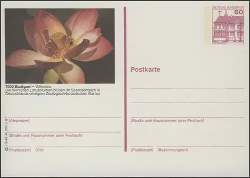 P138-r3/048 7000 Stuttgart, Lotusblumen **