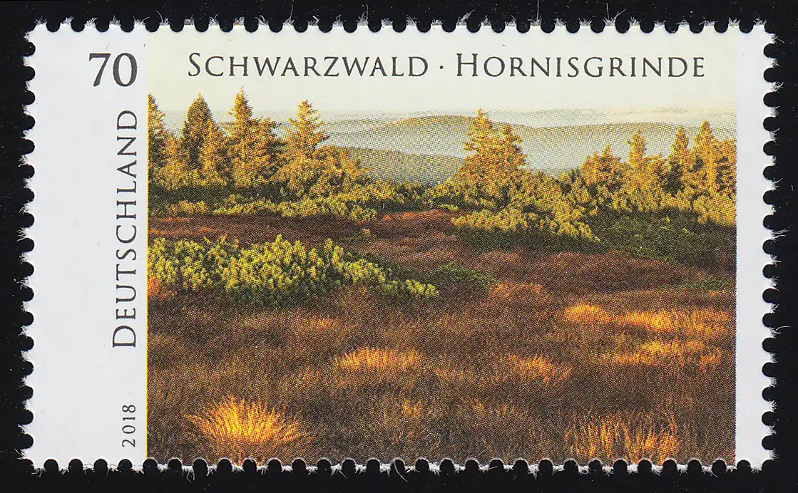 3428 Wildes Deutschland: Schwarzwald - Hornisgrinde, **