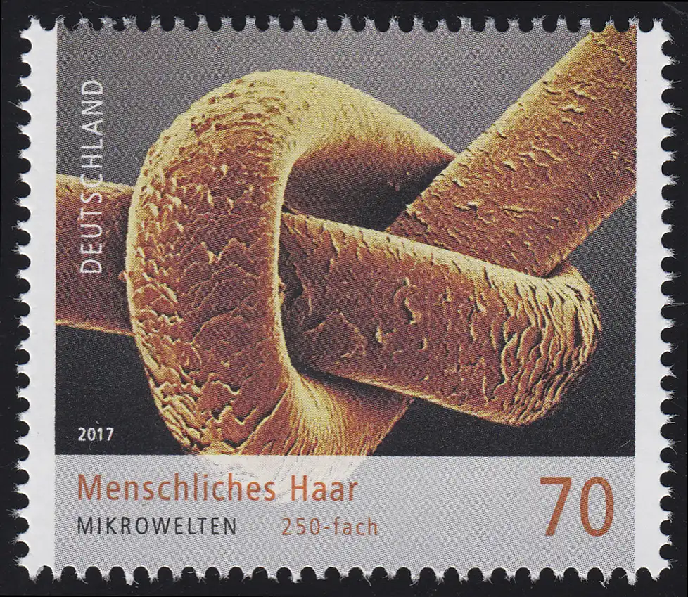 3322 Micro-univers - cheveux humains, **