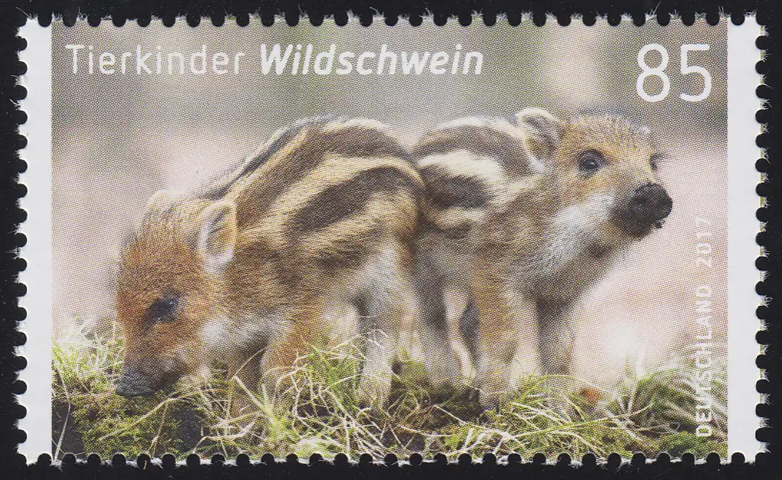 3289 Tierkinder - Wildschwein, nassklebend, **