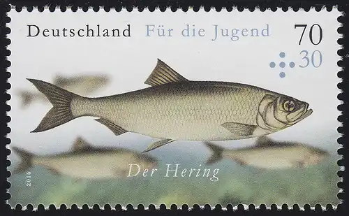 3255 Jugend Salzwasserfische - Hering, postfrisch **