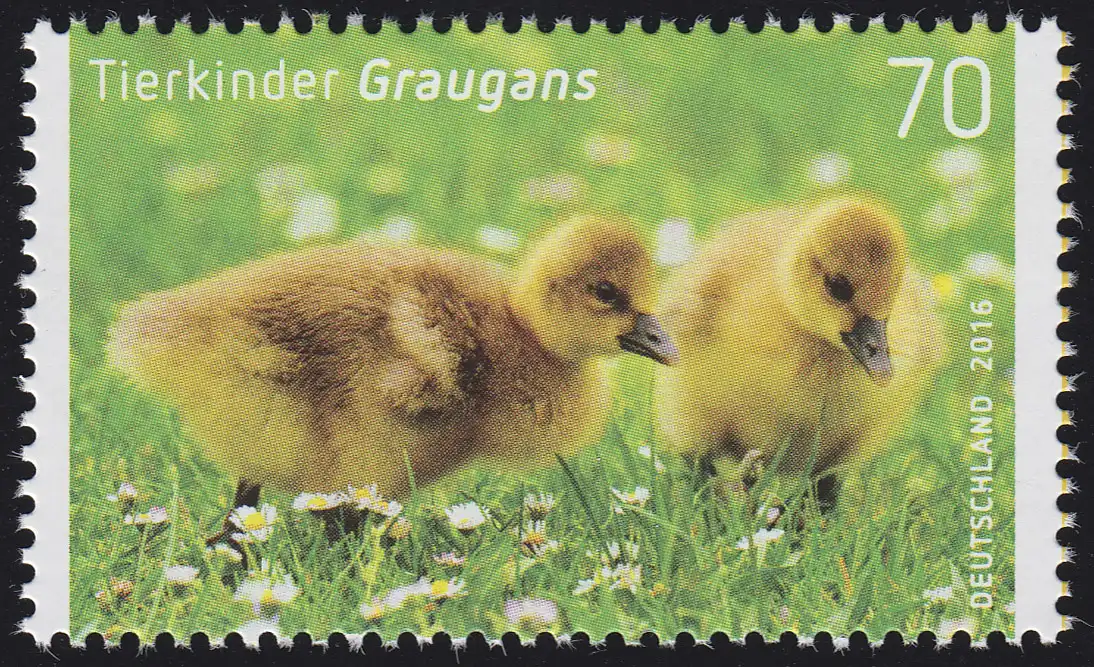 3218 Tierkinder: Graugans, nassklebend, **