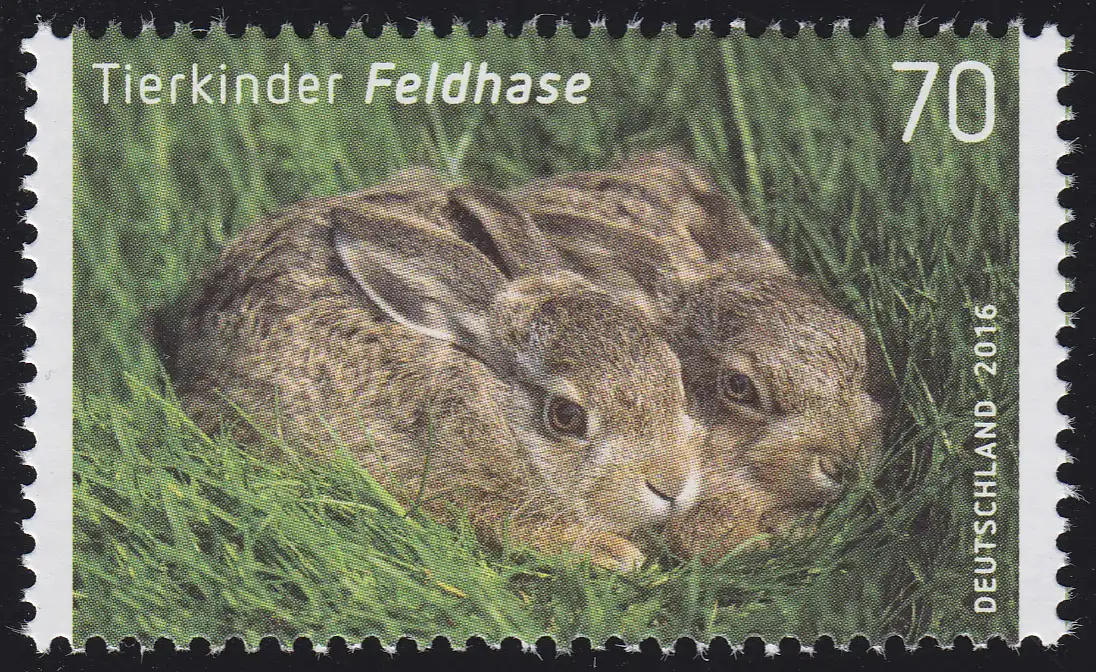 3217 Tierkinder: Feldhase, nassklebend, **