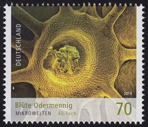 3193 Micro-univers - Fleur de la Ménine Odermennig 70 centimètre **