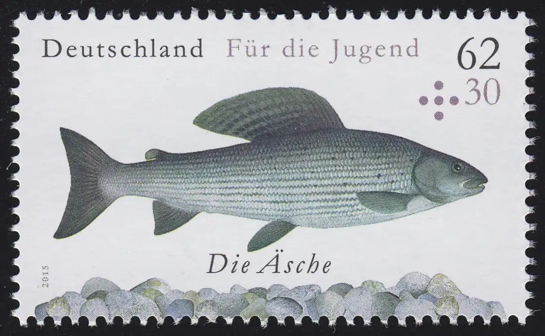 3169 Jugend - Süßwasserfische: Die Äsche, **