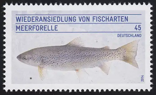 3120 Réinstallation des espèces de poissons - La truite de mer **
