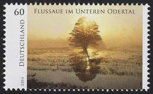 3059 Wildes Deutschland: Rivière dans la vallée Oderen inférieure **