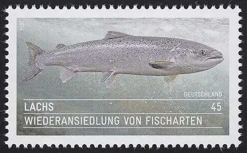 3051 Wiederansiedelung Fischarten: Lachs **