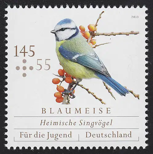 3025 Oiseaux chanteurs domestiques: mésange bleue **