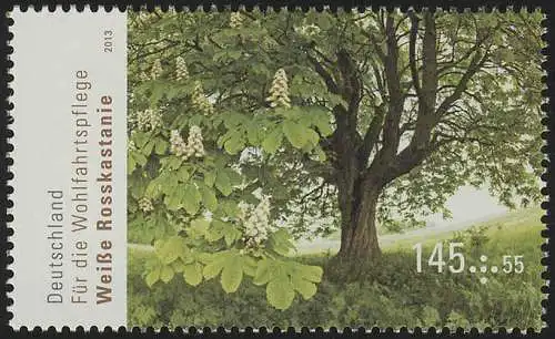 2982 Bien-être arbres Châtaigne blanche de cheval 145 C. **